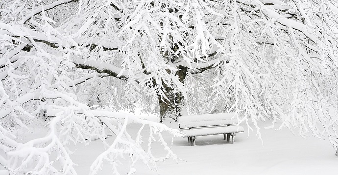 weather xionia xalandri 7 1