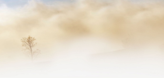 wind weather xalandri