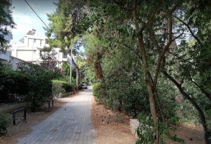 rematia xalandri 10 8