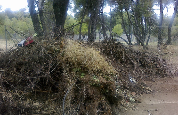 katharismosoikopedwn