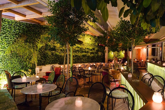 butterfly xalandri 1