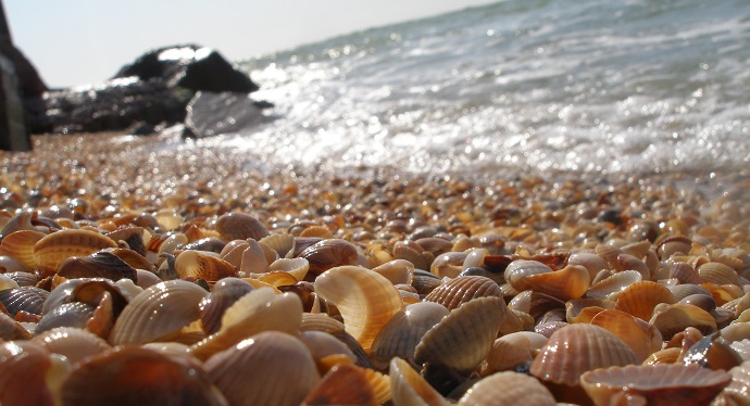 leitourgia sygkoinwnia kaph