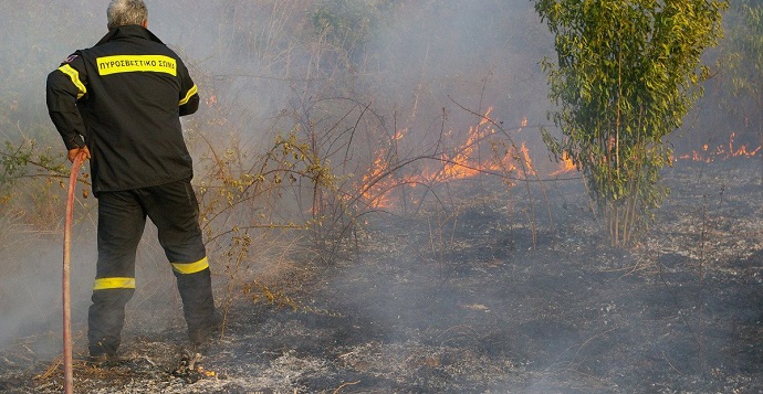 pyrkagia xera xorta xalandri