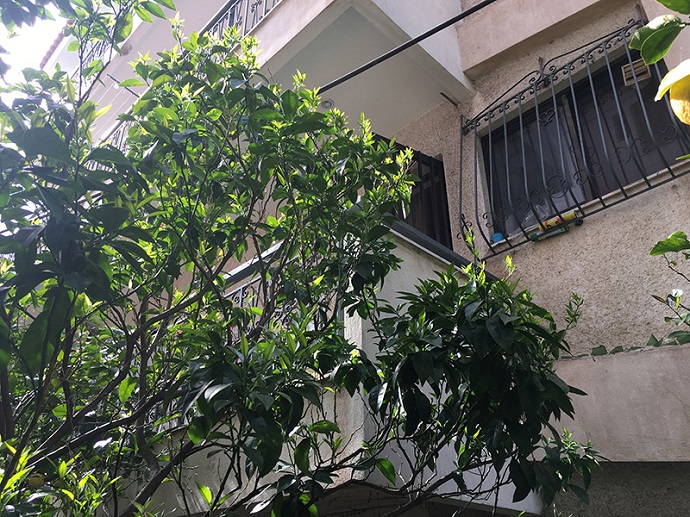 epidavrou xalandri 2