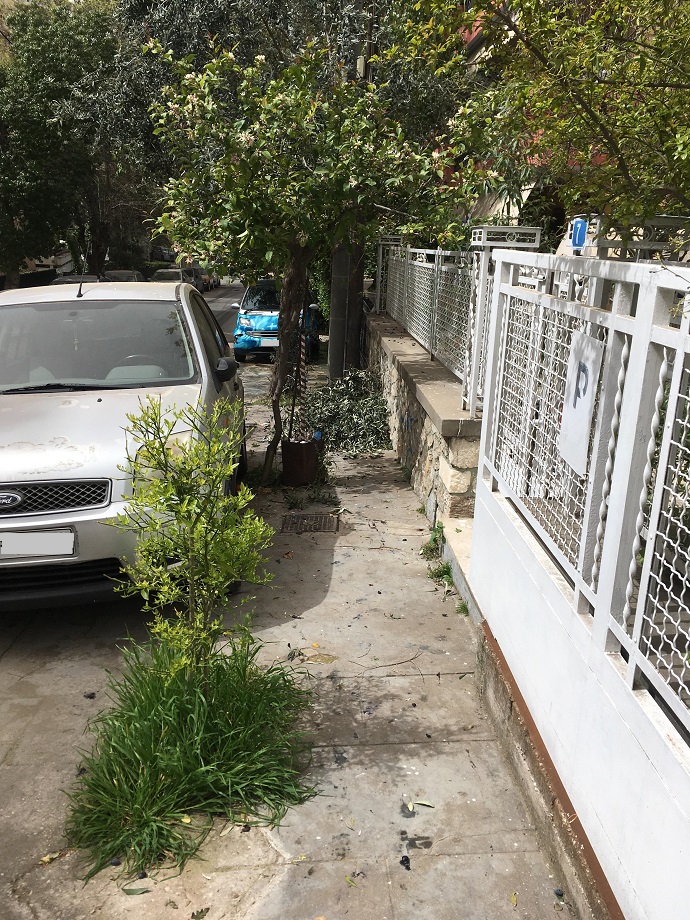 profhth hlia polydroso xalandriou 2