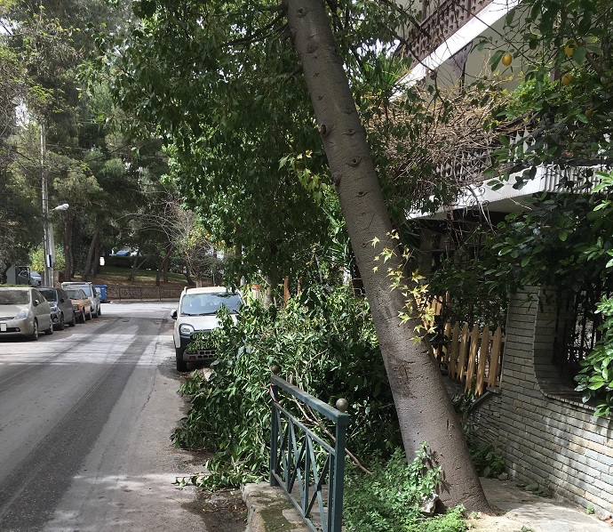 profhth hlia polydroso xalandriou 3