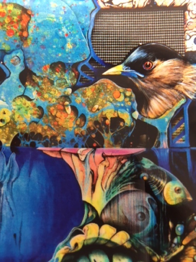 kikh voulgarelh 15 6