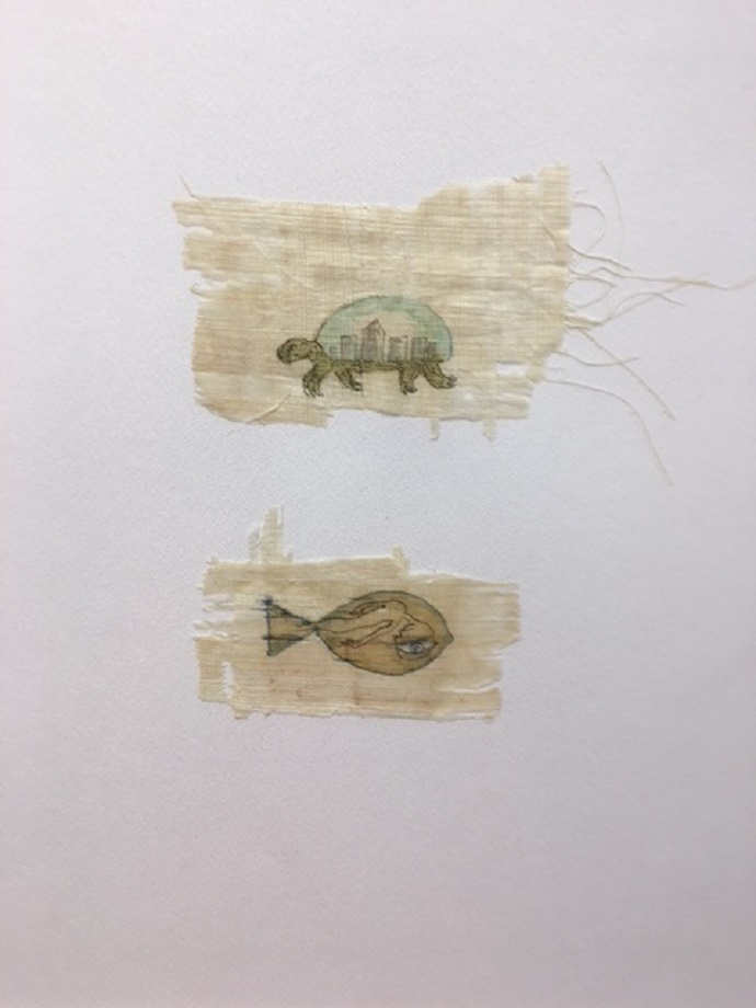 plaxourhs 15 6 18 2 xalandri2