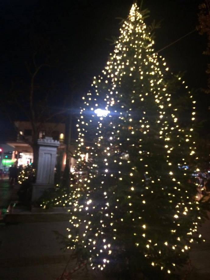 xristougenna xalandri 2015