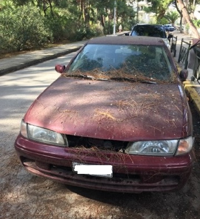 car profhth hlia xalandri