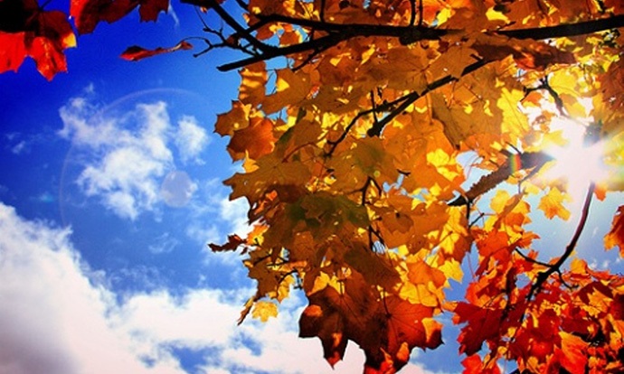 sun in autumn