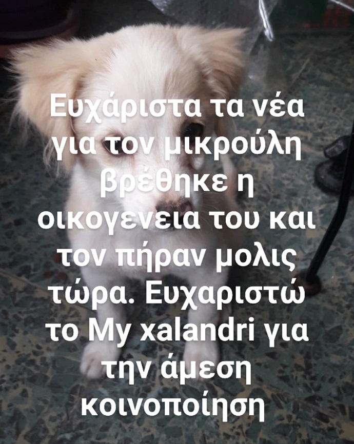 koutavaki 4 xalandri