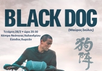 Cine ΑΡΓΩ: Προβολή της ταινίας “Black dog”, στο Κέντρο Νεότητας Χαλανδρίου